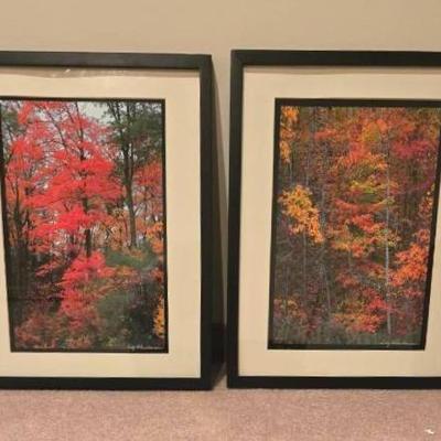 Framed Photograph Prints (2) of Fall Foliage by Billy Buchanan