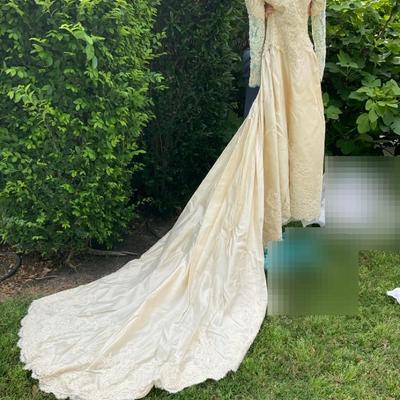 Wedding Gown And Veil