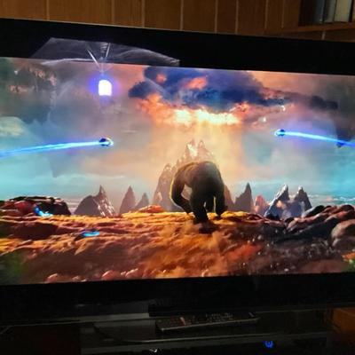 Sony  46in Flat Screen