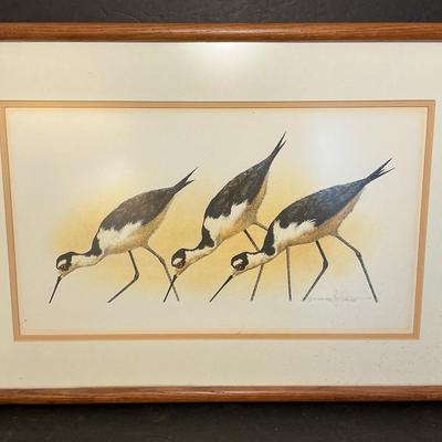 Signed & Numbered Shorebird Print 