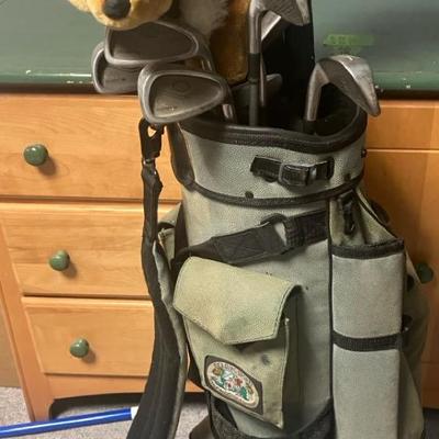 Large Set Of Golf Clubs With Added Bag 