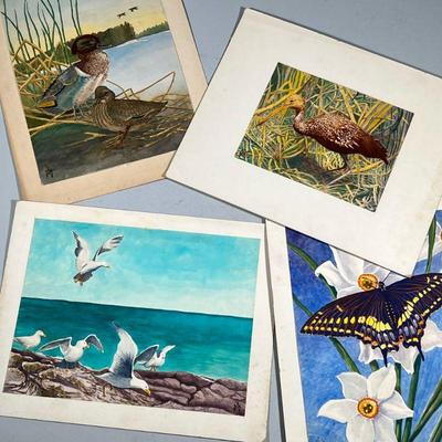 (4pc) AVIAN WATERCOLORS | Lot of 4 unframed watercolor & mixed media avian & butterfly artworks, signed by artist on bottom; 12 x...