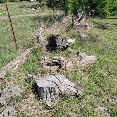 FREE wood 