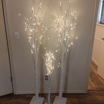 Lighted Trees