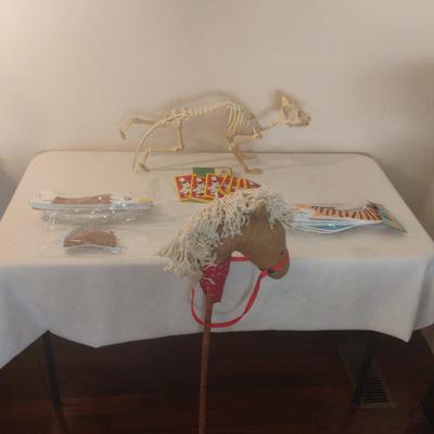 Skeleton
