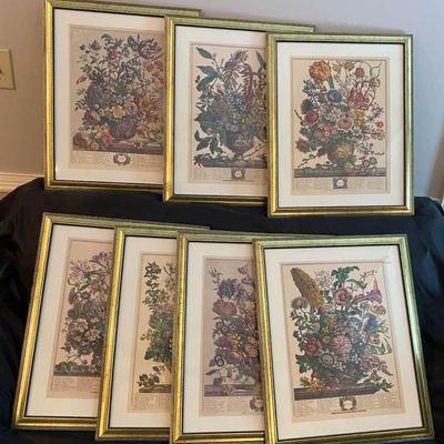 Vintage Botanical Prints, Part One