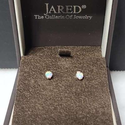 10K Earrings 