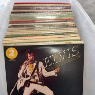 Albums/LP's Collection 
