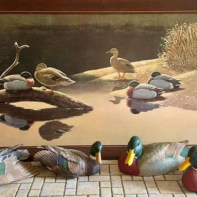 Guy Coheleach Print “Secluded Rest” & 4 Ducks For Your Man Cave! 