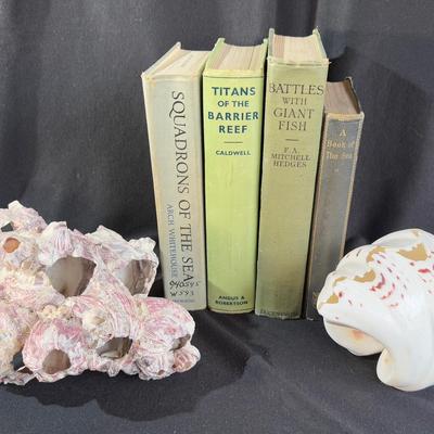 Vintage Sea-Related Books From 1918-1962 * 8” Barnacle Cluster & ‘Bear Claw’ 7” Clam Shell 