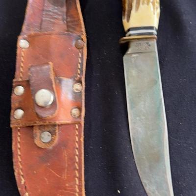Stag Hunting Knife #13109 * Solingen Made In Germany *