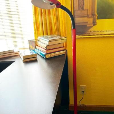 Groovy vintage Gooseneck Orange Floor Lamp 