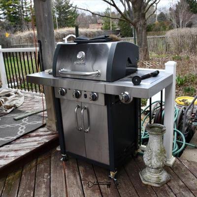 0985 back yard