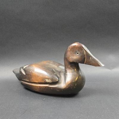 duck