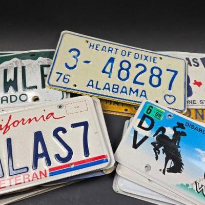 license plates 