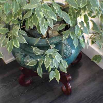 Large Indoor Glazed Ceramic Planter with Carved Floral Motifs and Wooden Stand