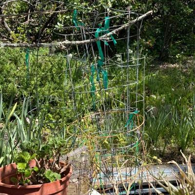 Tomato cages