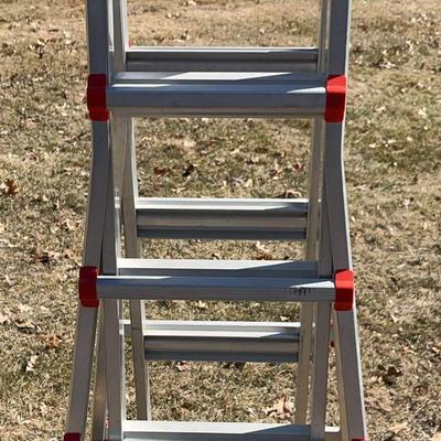 Little Giant Ladder 
