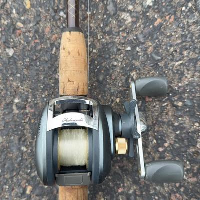 Collection of Fishing Poles 