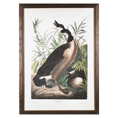 AFTER JOHN JAMES AUDUBON (1785-1851 | Pencil numbered and pencil signed R. Hall
Ed. 1/200 with Audubon blind stamp, colored b R. Havell...