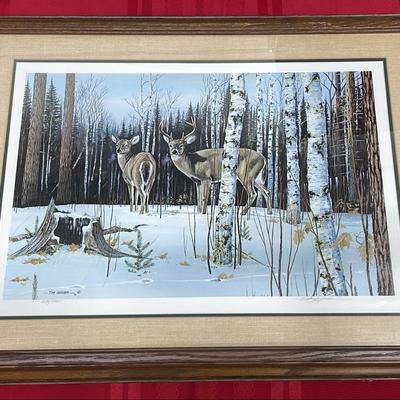"Whitetail Deer" Print by Johnson (WH15)