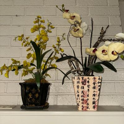 Pretty Plants 