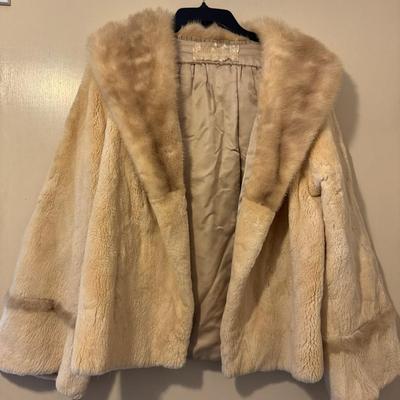 Sidney’s Fur