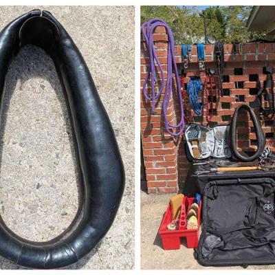 Equine Tack & Supplies: Leather Horse Collar, Oster, Professional's Choice, & More
