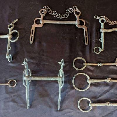 Collection of 9 Antique & Vintage Horse Bits – Curb, Snaffle, and Driving Styles