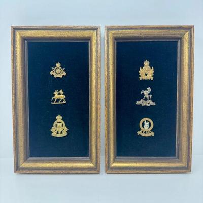 Premier British Military Badge Collection on Black Velvet Display	