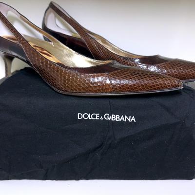 D&G Ayer’s Anguilla Eel Snake Pump
