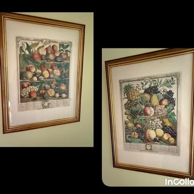 Framed Botanical Prints By Henry Fletcher “colonial Williamsburg August And October Botanicals 