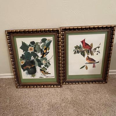 Pretty Bird Pair