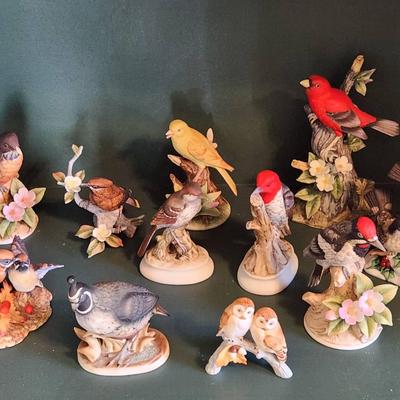 Seasonal Songbirds