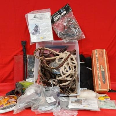 Horse Training  & Comfort Items for Your Horse Pal