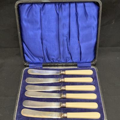 Vintage Butter Knifes With Faux Bone Handles