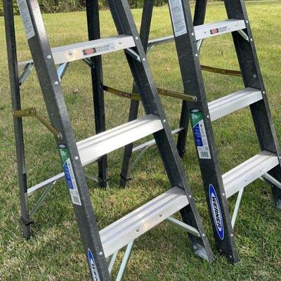 Werner Ladder Pair