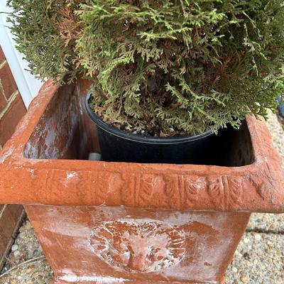 3 Terracotta Lion Head Planters