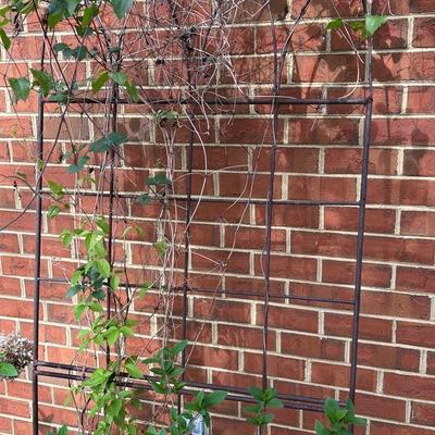 Large Metal Garden Trellis 