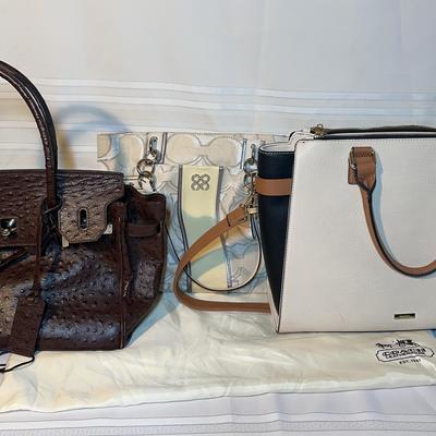 Giorgio, Coach, Aldo Handbags 