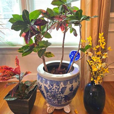 Asian Ceramic Planter, Glass Vase, Live Plants