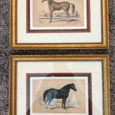 Two Lizars Engravings Framed- Equestrian 