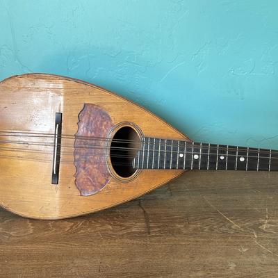 Beautiful Lute