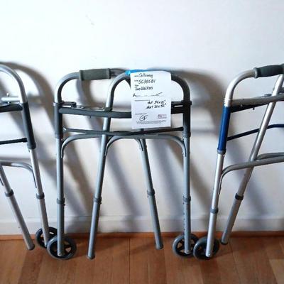 Three Walkers 