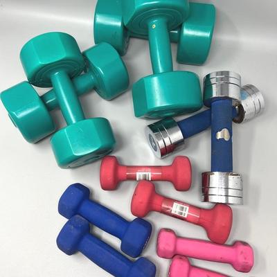 Hand Weights- 8 Lbs, 5lbs, 2 Lbs, 1 Lb