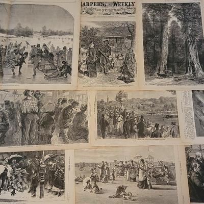 10 1800s Newspaper Pages Gigantic Trees, Central Park, Beach, Navy & More