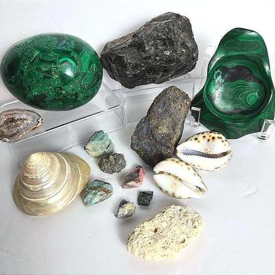 Large Malachite Egg 5.5” And More Shells And Minerals