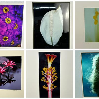 Chuck Bress Photography: Floral Photos (6), Matted 16x20”