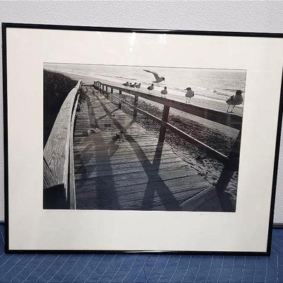 Chuck Bress Signed Black & White Photograph "Chincoteague And Gulls" - 24x20