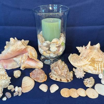 Sea Shells & Candle Vase 